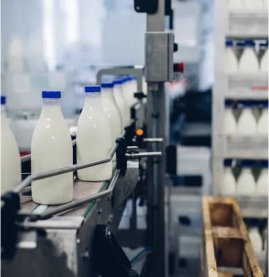 Dairy Processing Plants