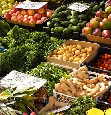 Insulated Panels for Fruit & Vegetable Stores