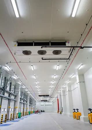 Cold Store Panels for Freezers, Partitions and Chillers | Insulated Panels in UAE, Africa and Middle East