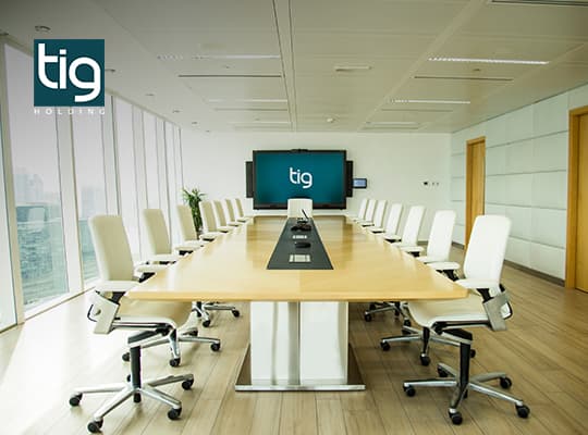 TIG Group Industrial Companies